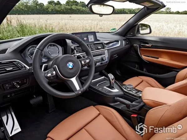 Защитная пленка для салона автомобиля BMW 2 Series Convertible 2018